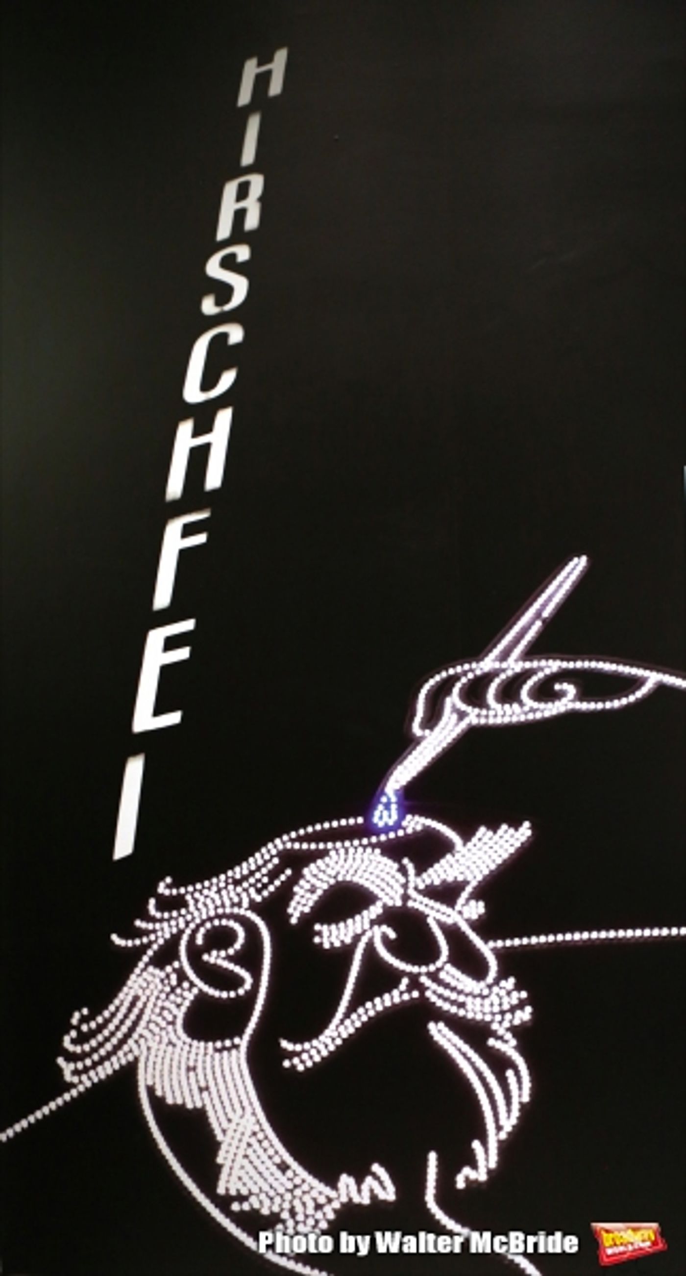 Photo Coverage: New York Celebrates a Legend- Go Inside the Launch of THE HIRSCHFELD CENTURY Exhibit  Image