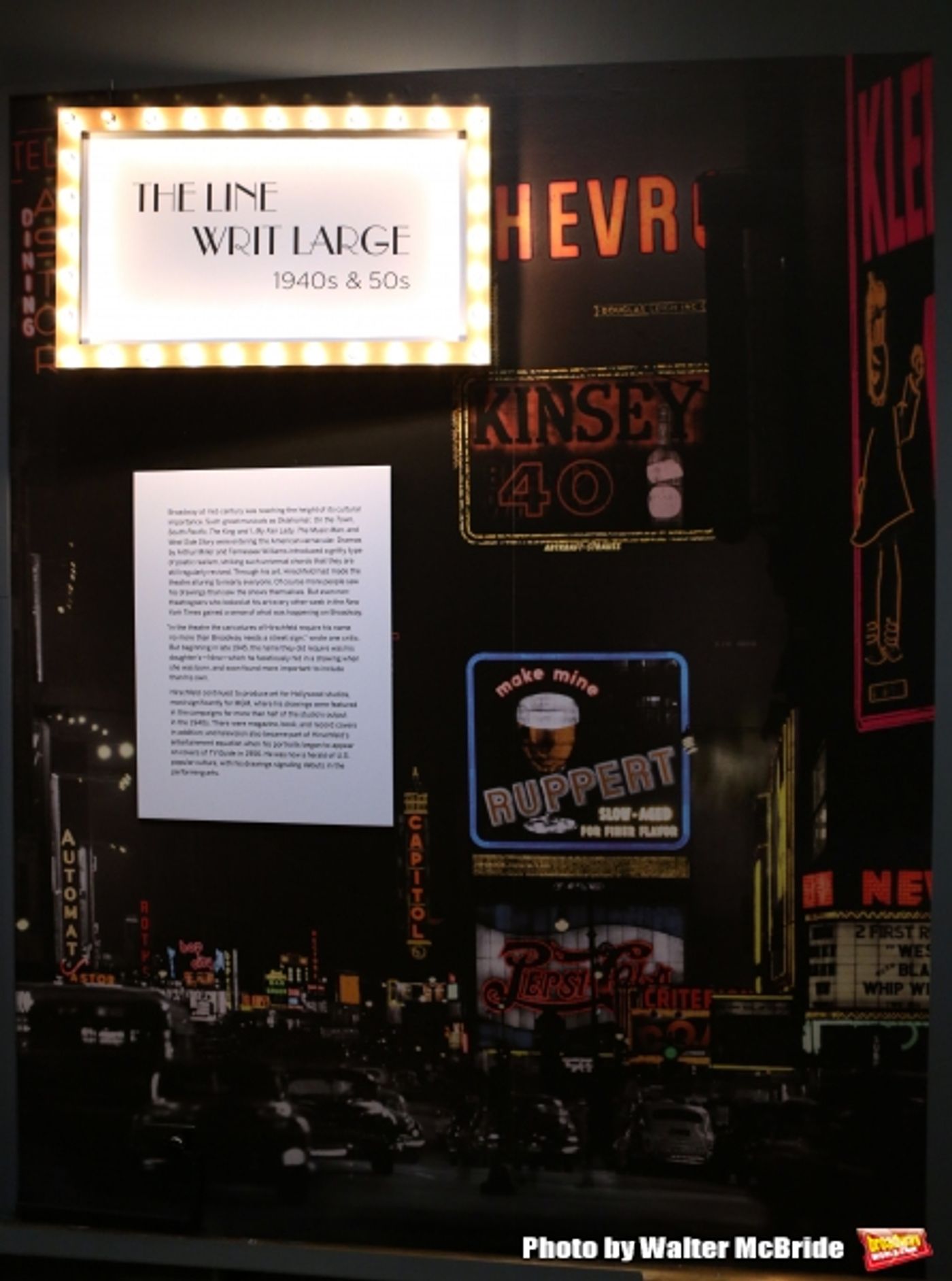 Photo Coverage: New York Celebrates a Legend- Go Inside the Launch of THE HIRSCHFELD CENTURY Exhibit  Image