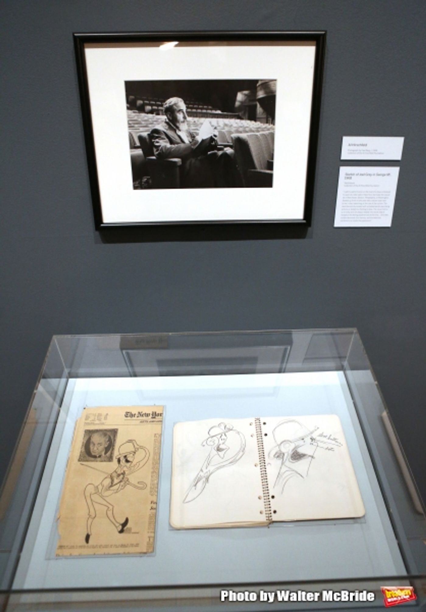 Photo Coverage: New York Celebrates a Legend- Go Inside the Launch of THE HIRSCHFELD CENTURY Exhibit  Image