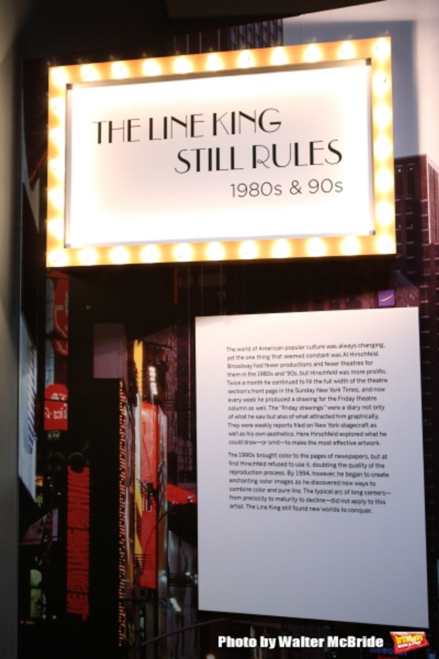 Photo Coverage: New York Celebrates a Legend- Go Inside the Launch of THE HIRSCHFELD CENTURY Exhibit  Image