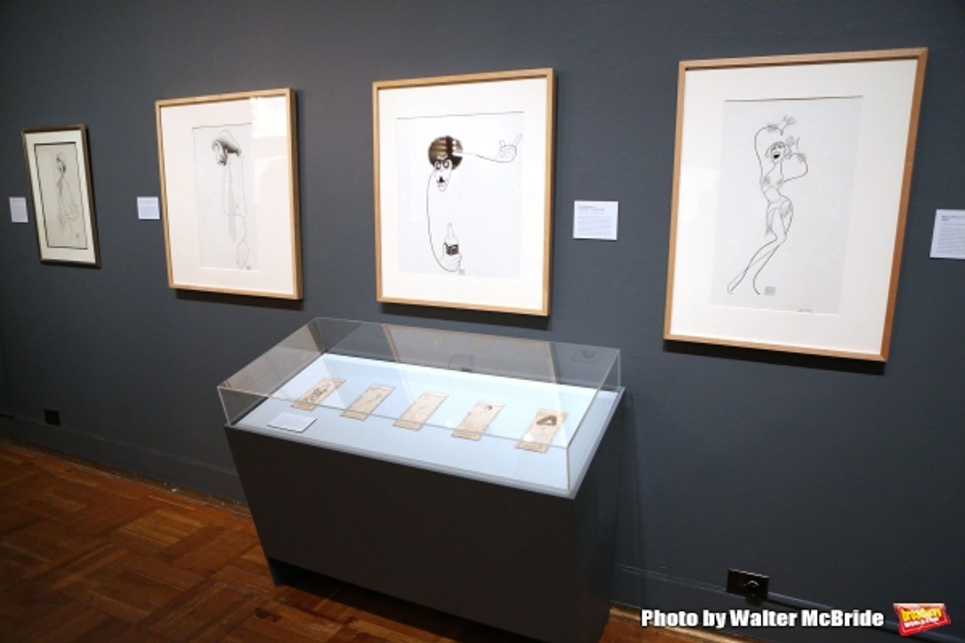 Photo Coverage: New York Celebrates a Legend- Go Inside the Launch of THE HIRSCHFELD CENTURY Exhibit  Image