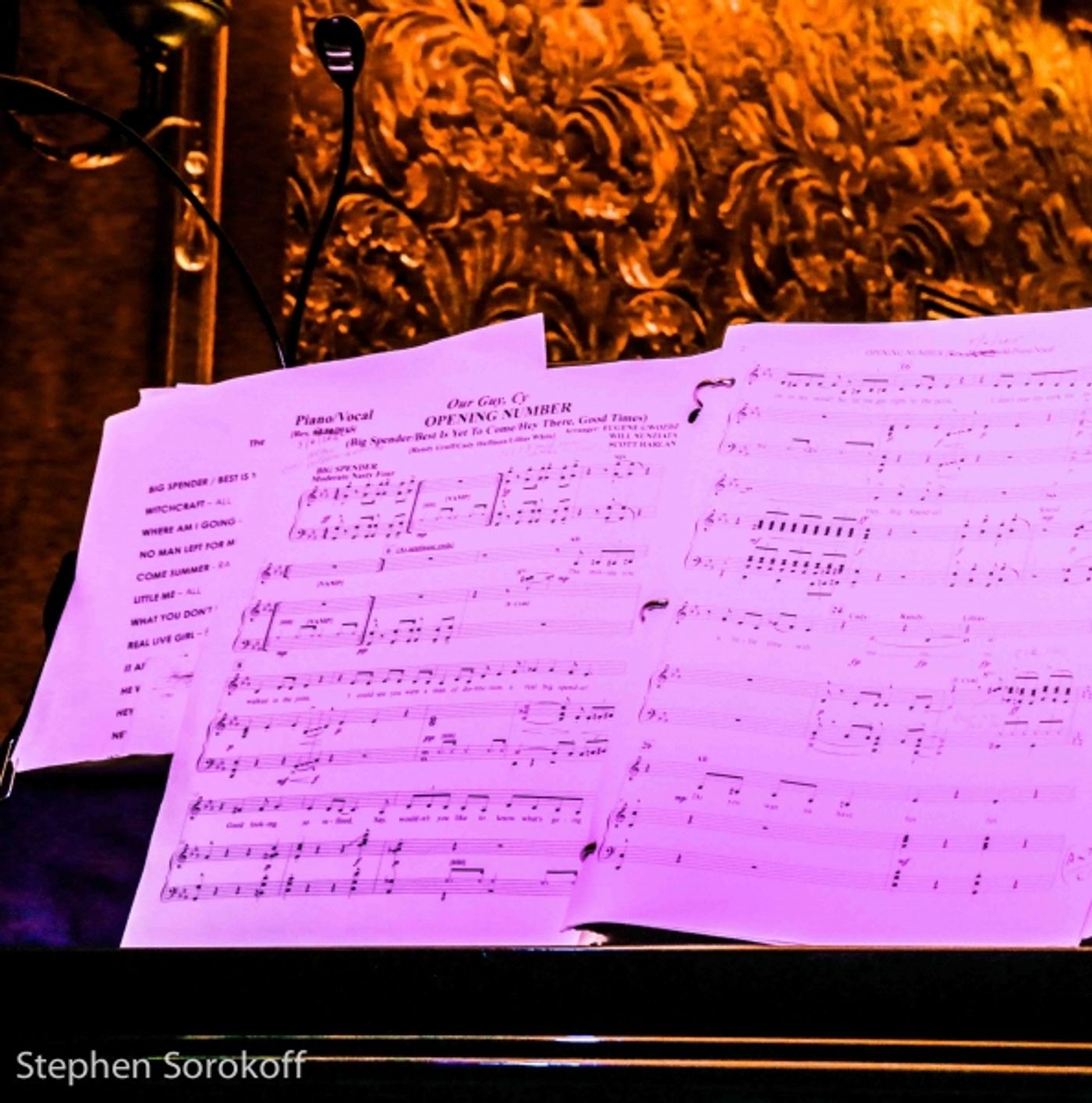Photo Coverage: OUR GUY, CY-  The Songs of Cy Coleman Plays 54 Below  Image