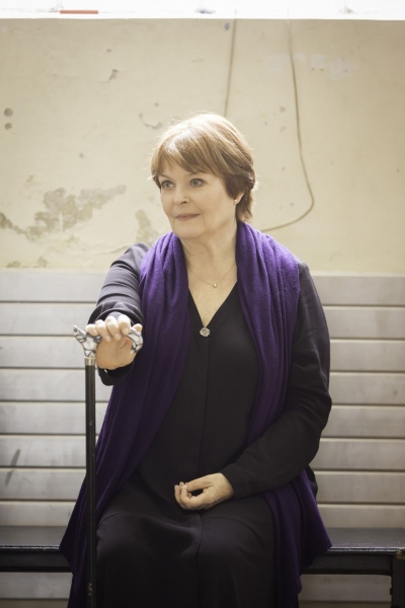 Photo Coverage: A DAMSEL IN DISTRESS, With Strallen And Fleeshman, In Rehearsal!  Image