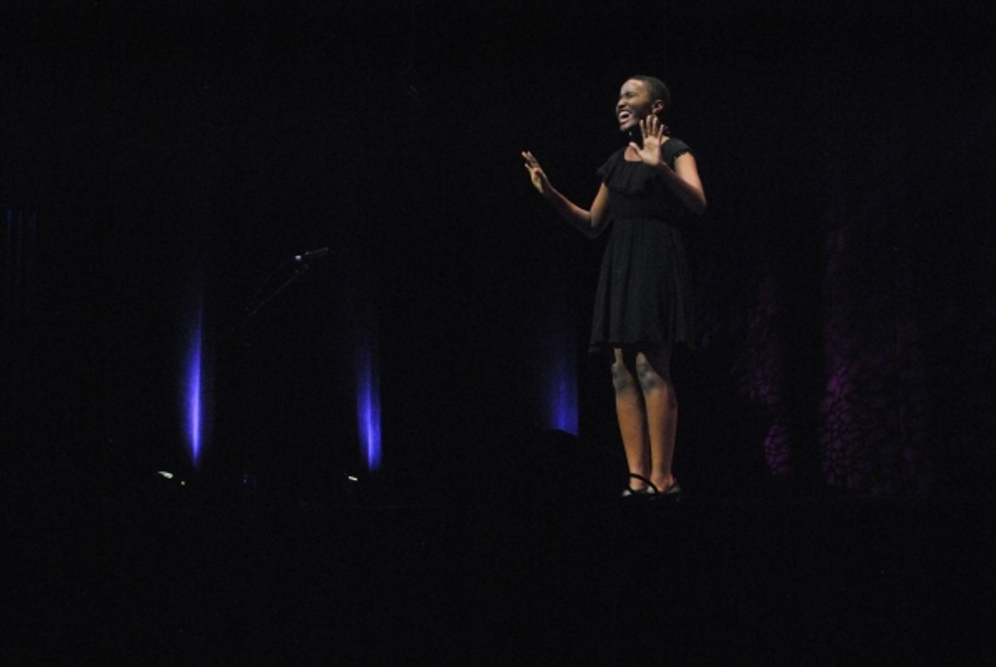 Photo Flash: 2015 Triangle Rising Stars Awards at DPAC; Winners Announced!  Image