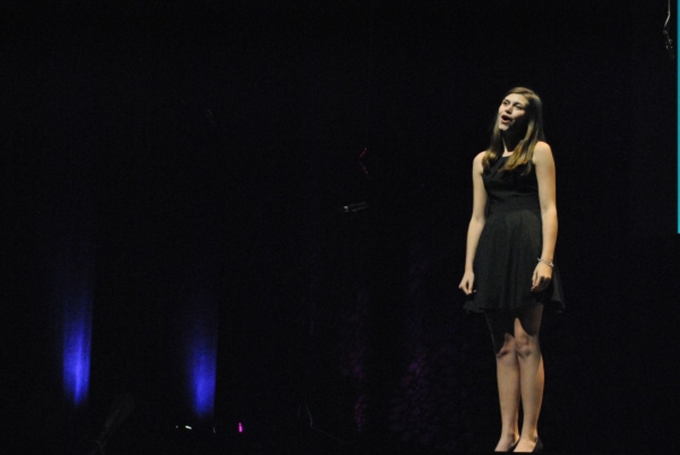 Photo Flash: 2015 Triangle Rising Stars Awards at DPAC; Winners Announced!  Image