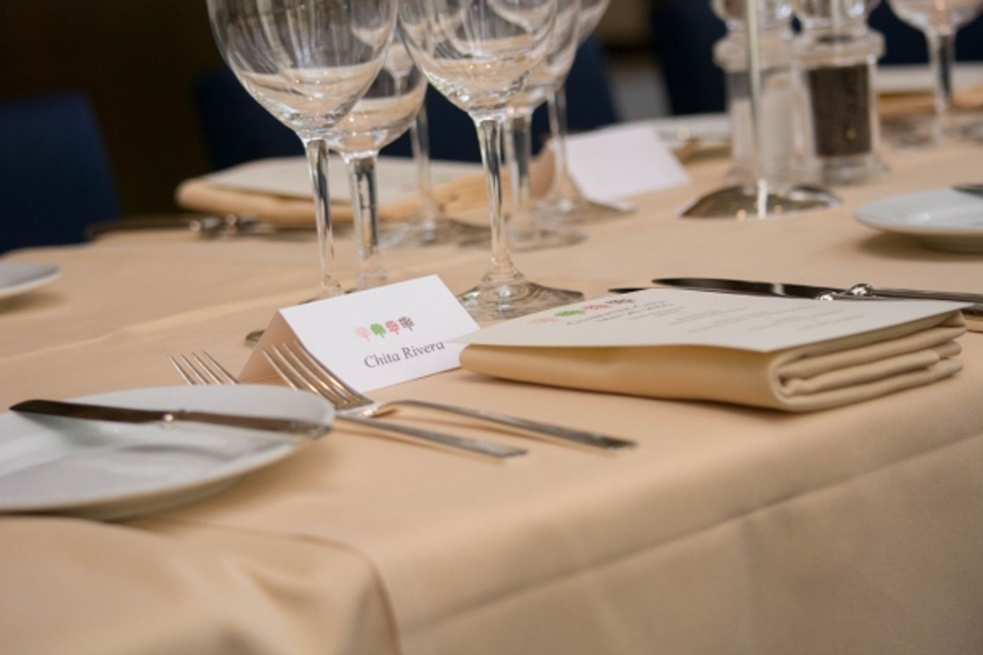 Photo Flash: Broadway's Best Honor 2015 Tony Nominee Chita Rivera at Luncheon Photo Flash: Broadway's Best Honor 2015 Tony Nominee Chita Rivera at Luncheon Image