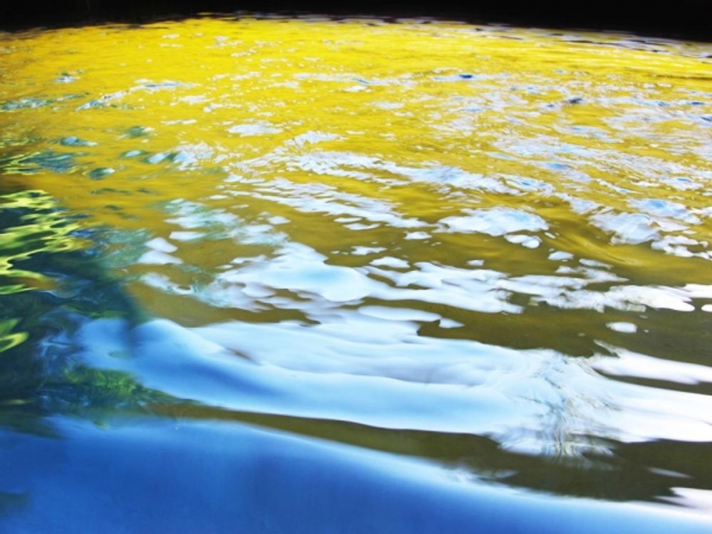 Photo Flash: Sneak Peek at Pascal Blondeau's New Exhibition at Gallery Mourlot Photo Flash: Sneak Peek at Pascal Blondeau's New Exhibition at Gallery Mourlot Image