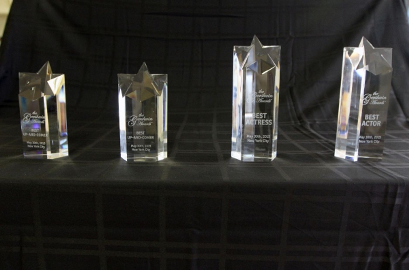 Photo Flash: First Look at 5th Annual Gershwin Award Winners 2015  Image