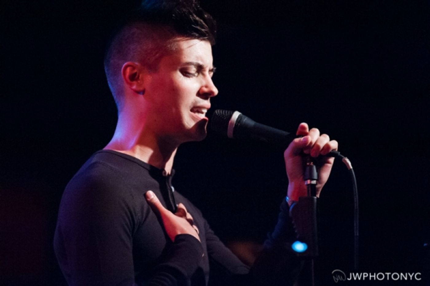 Photo Flash: Trevor McQueen Tributes Sammy Davis, Stevie Wonder, Stephen Sondheim and More at Birdland  Image