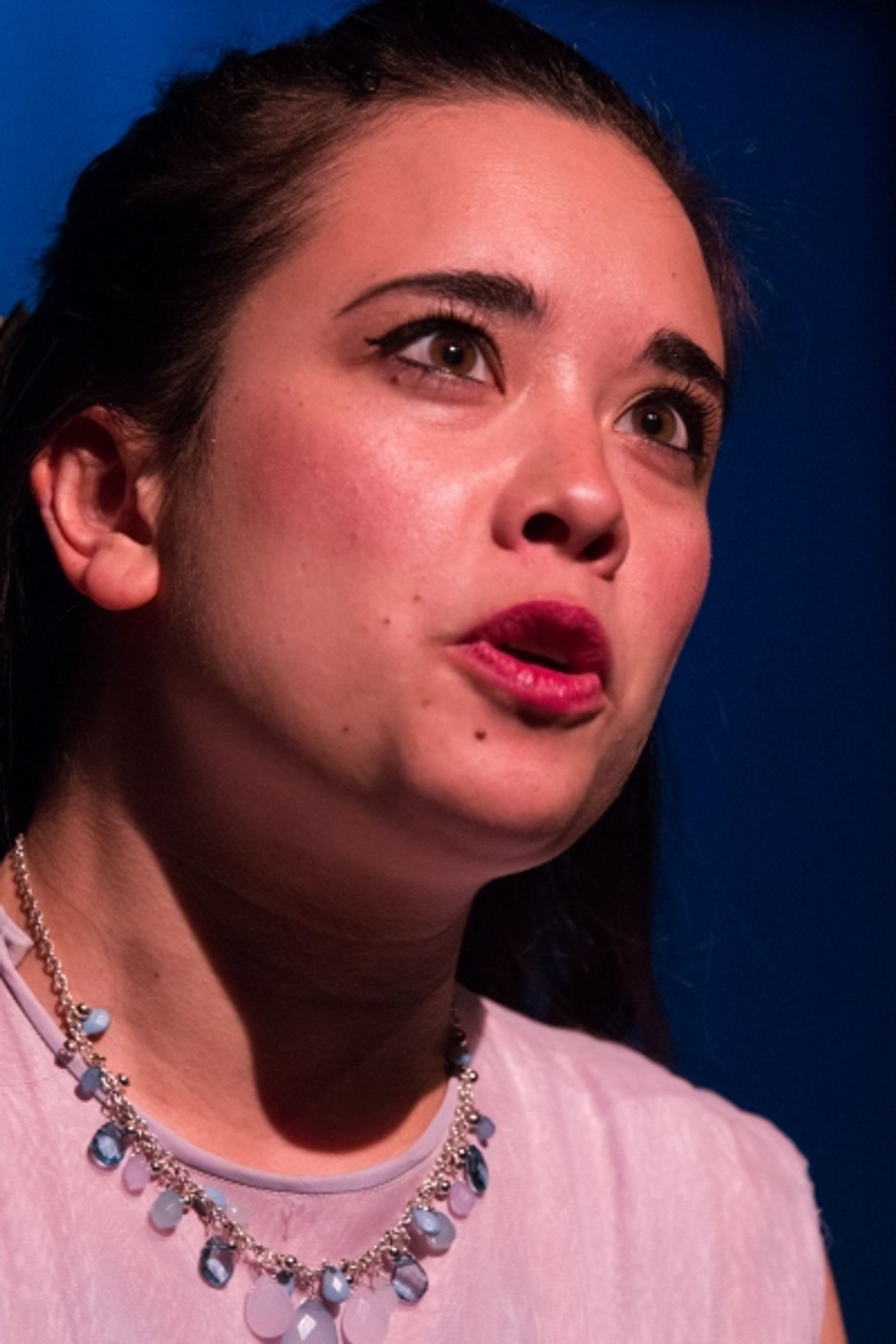 Photo Coverage: First Look at Standing Room Only's THE FANTASTICS  Image