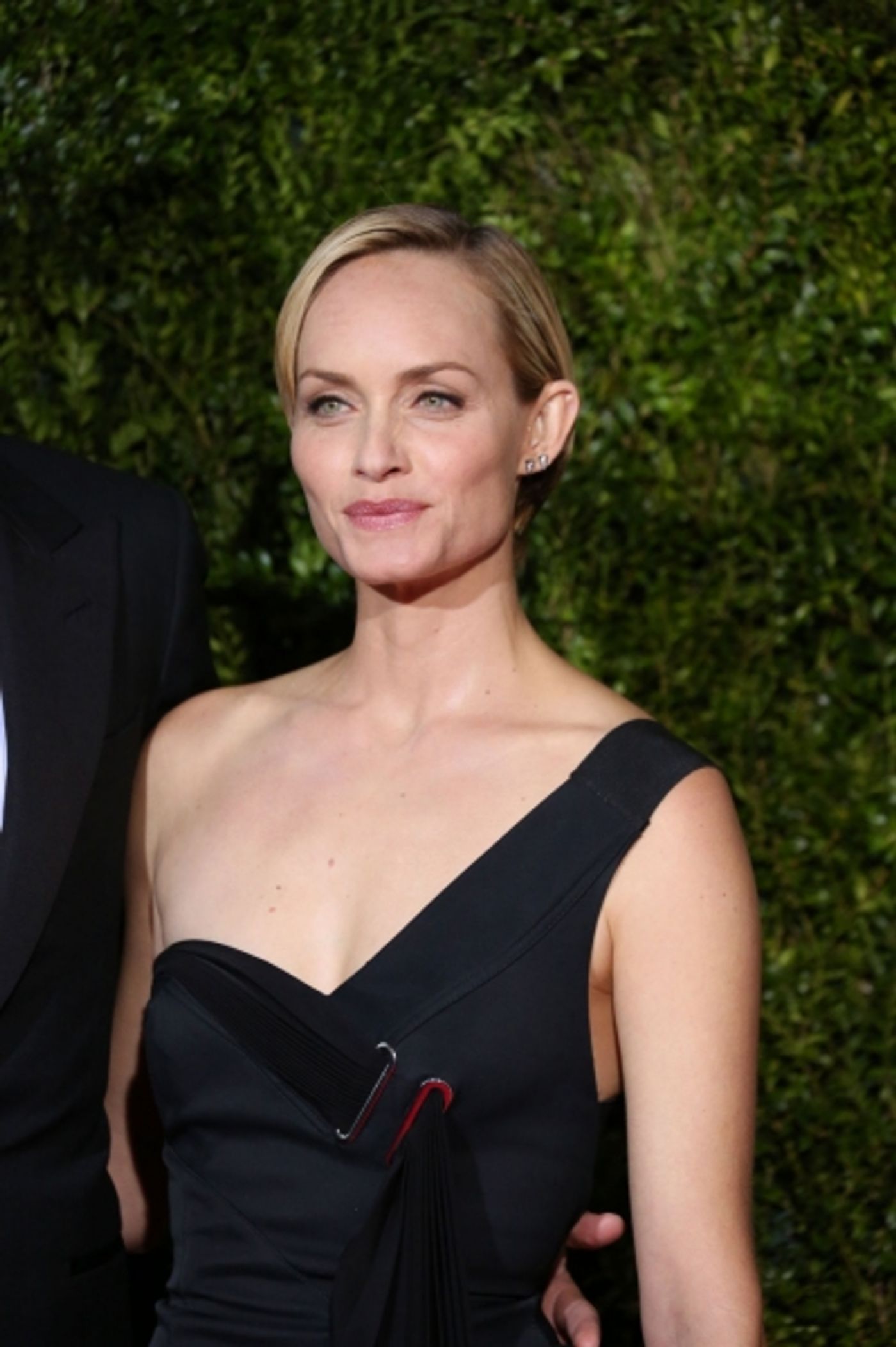 Photo Coverage: 2015 Tony Awards Red Carpet Arrivals - Part 3 Image