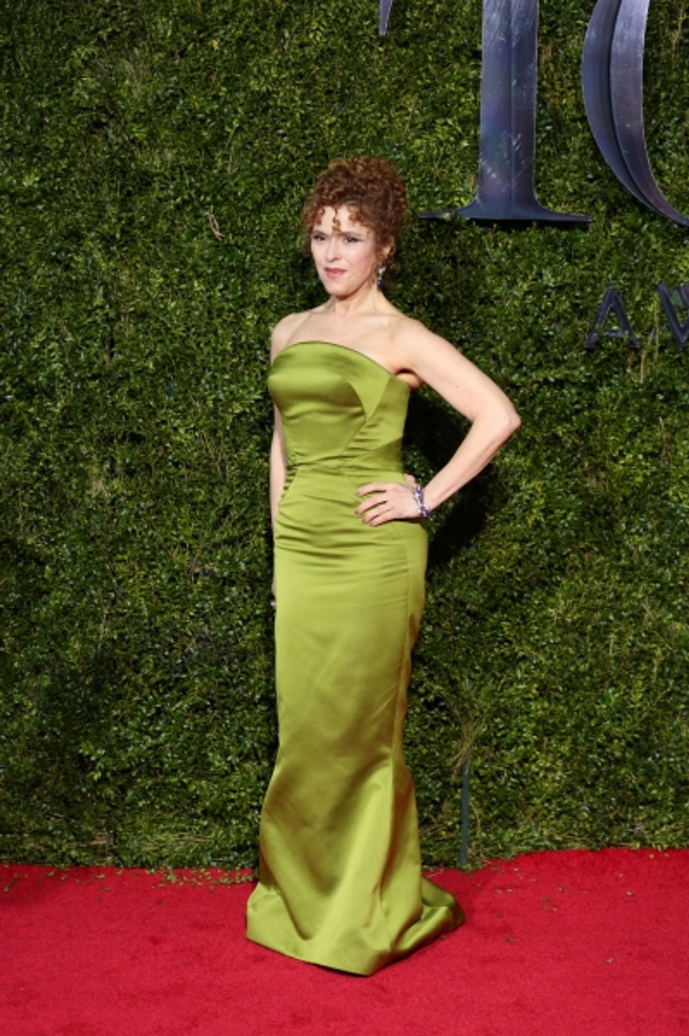 Photo Coverage: 2015 Tony Awards Red Carpet Arrivals - Part 3 Image