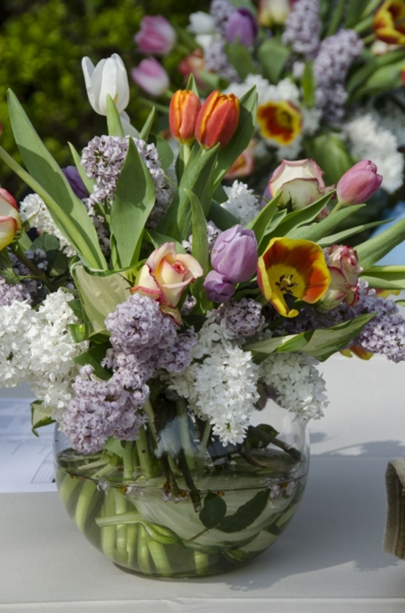 Photo Flash: Alan Cumming Headlines Bucks County Playhouse's GALAVANT IN THE GARDEN Photo Flash: Alan Cumming Headlines Bucks County Playhouse's GALAVANT IN THE GARDEN Image