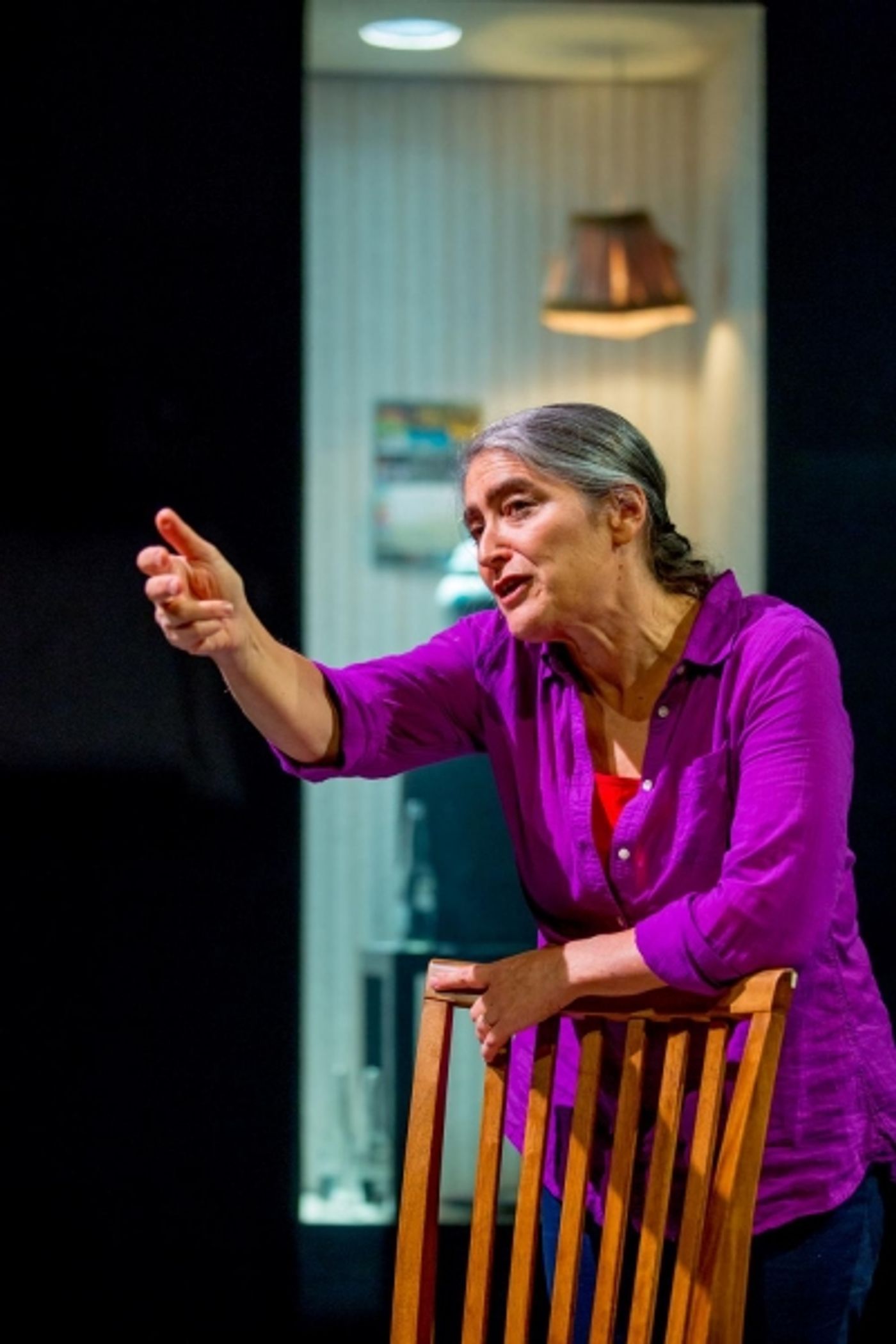 Photo Flash: First Look at Alice Eve Cohen in THIN WALLS at Kitchen Theatre  Image