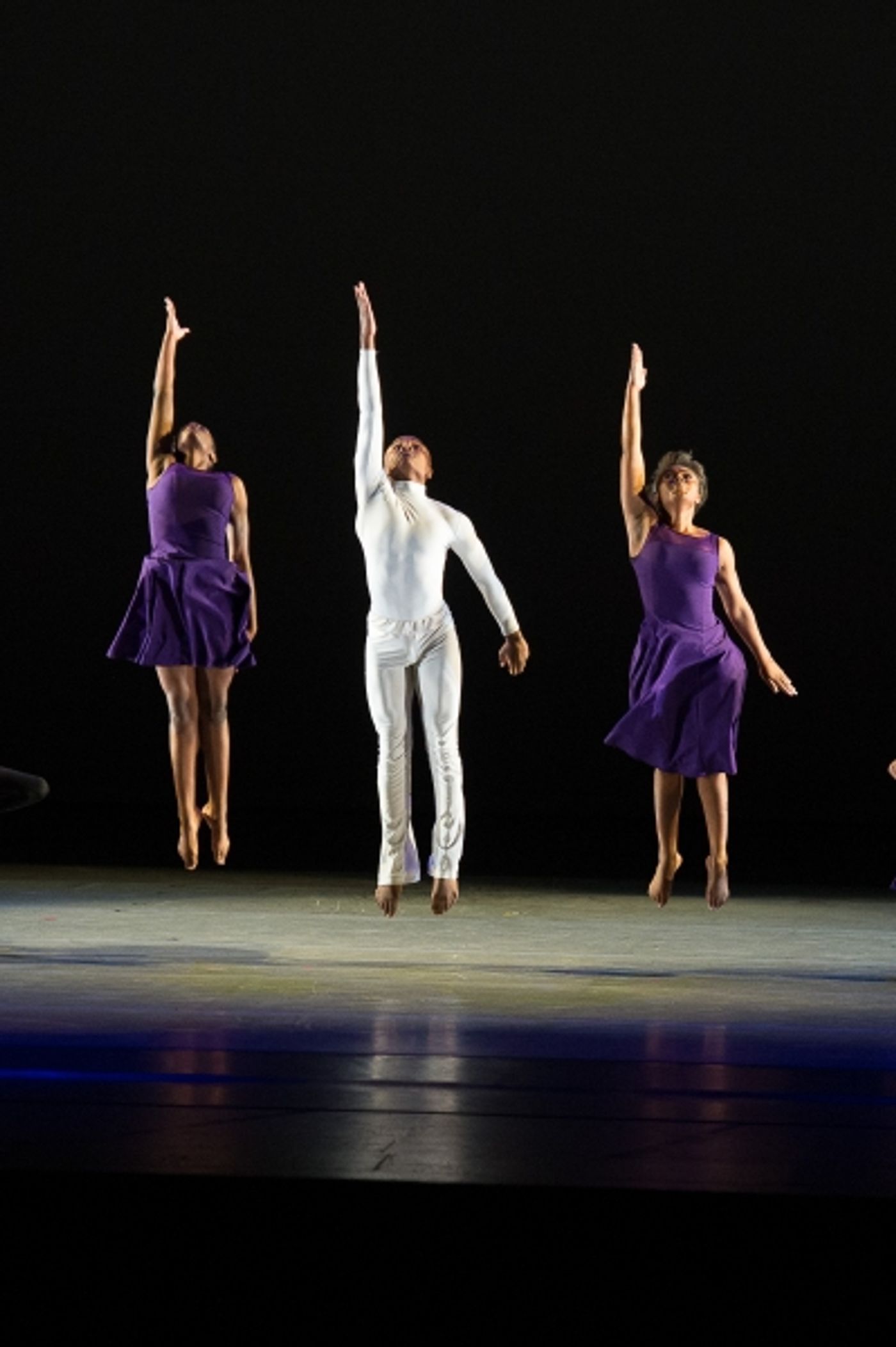 Photo Flash: Tyson Beckford, Taye Diggs, Tituss Burgess and More Attend 2015 Ailey Spirit Gala  Image