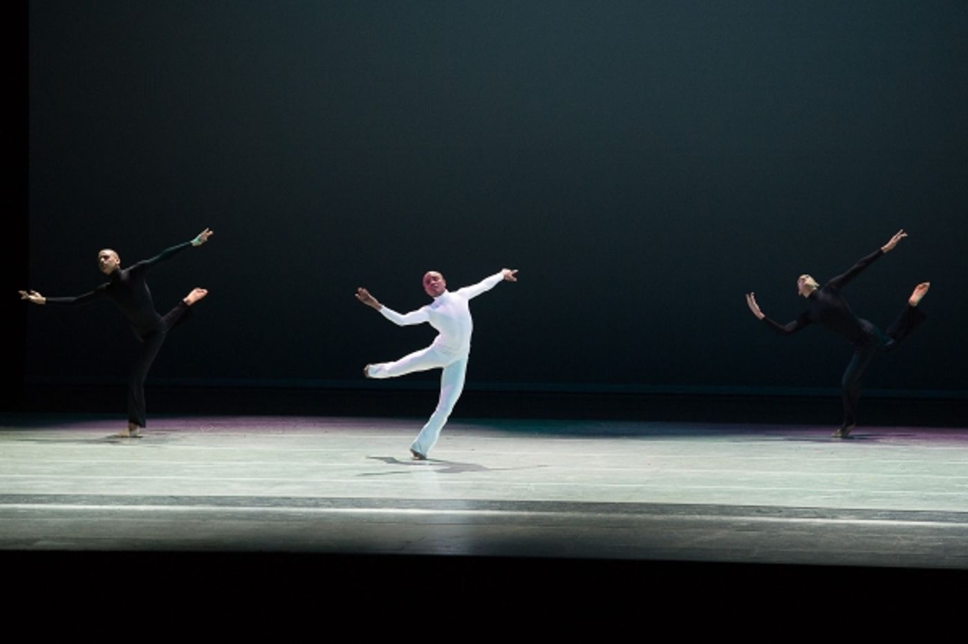 Photo Flash: Tyson Beckford, Taye Diggs, Tituss Burgess and More Attend 2015 Ailey Spirit Gala  Image