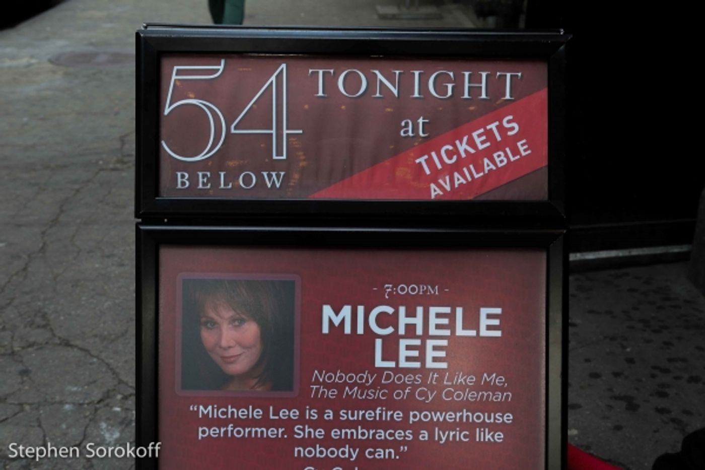 Photo Coverage: Michele Lee Brings the Music of Cy Coleman to 54 Below  Image