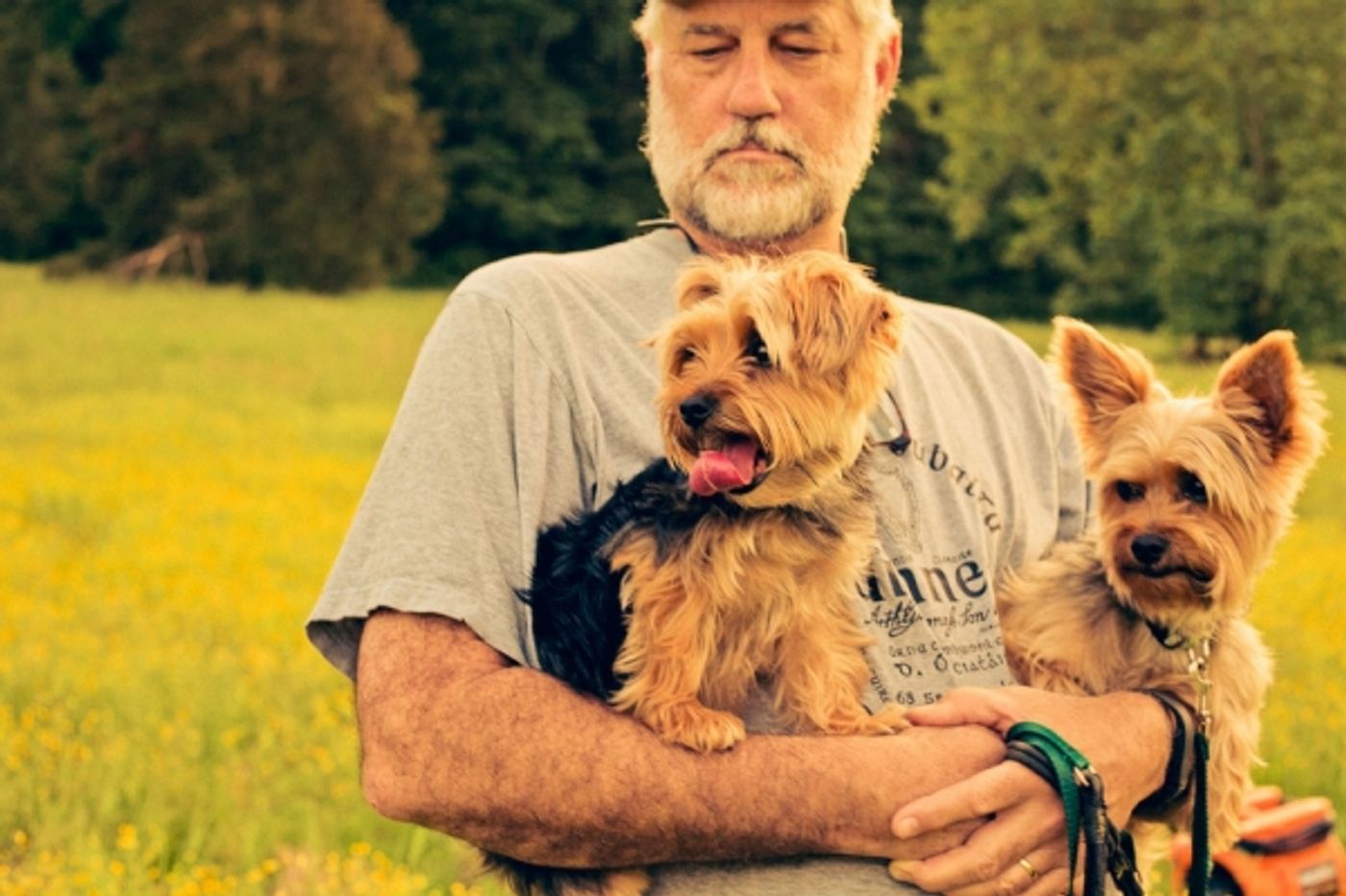 Photo Flash: Sneak Peek at Diana DeGarmo and More in Studio Tenn's THE WIZARD OF OZ  Image