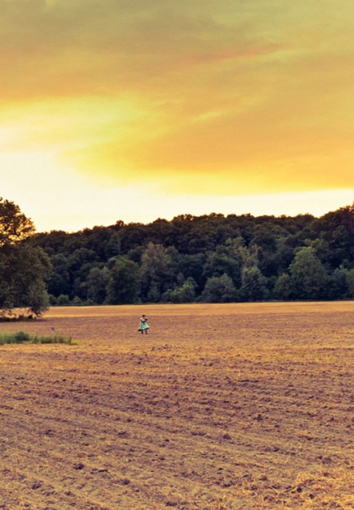 Photo Flash: Sneak Peek at Diana DeGarmo and More in Studio Tenn's THE WIZARD OF OZ  Image