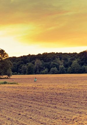 Diana DeGarmo @ BroadwayWorld Diana DeGarmo Photo