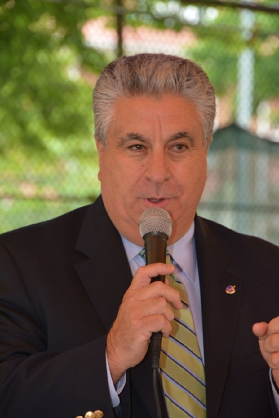 Photo Coverage: The New York Pops Celebrates New Summer Home at Forest Hills Stadium Image