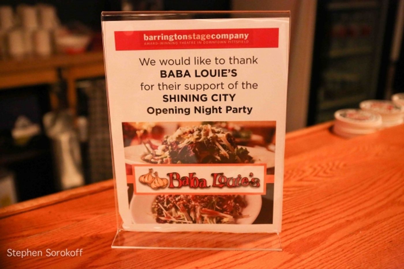 Photo Coverage: SHINING CITY Opens at Barrington Stage Company  Image