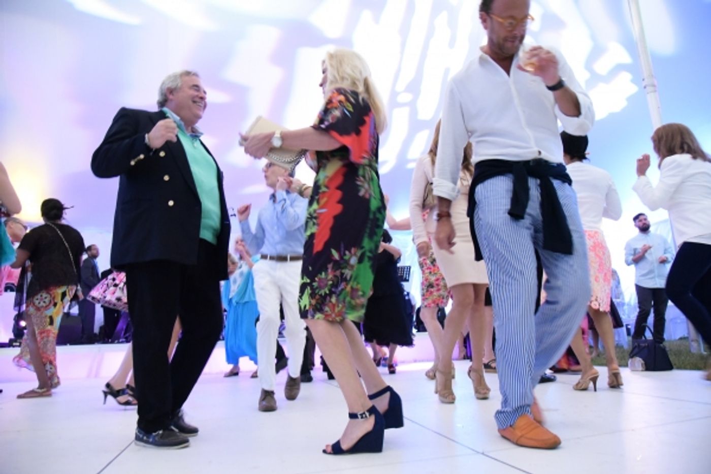 Photo Flash: The Ellen Hermanson Foundation Hosts 20th Anniversary Summer Gala  Image