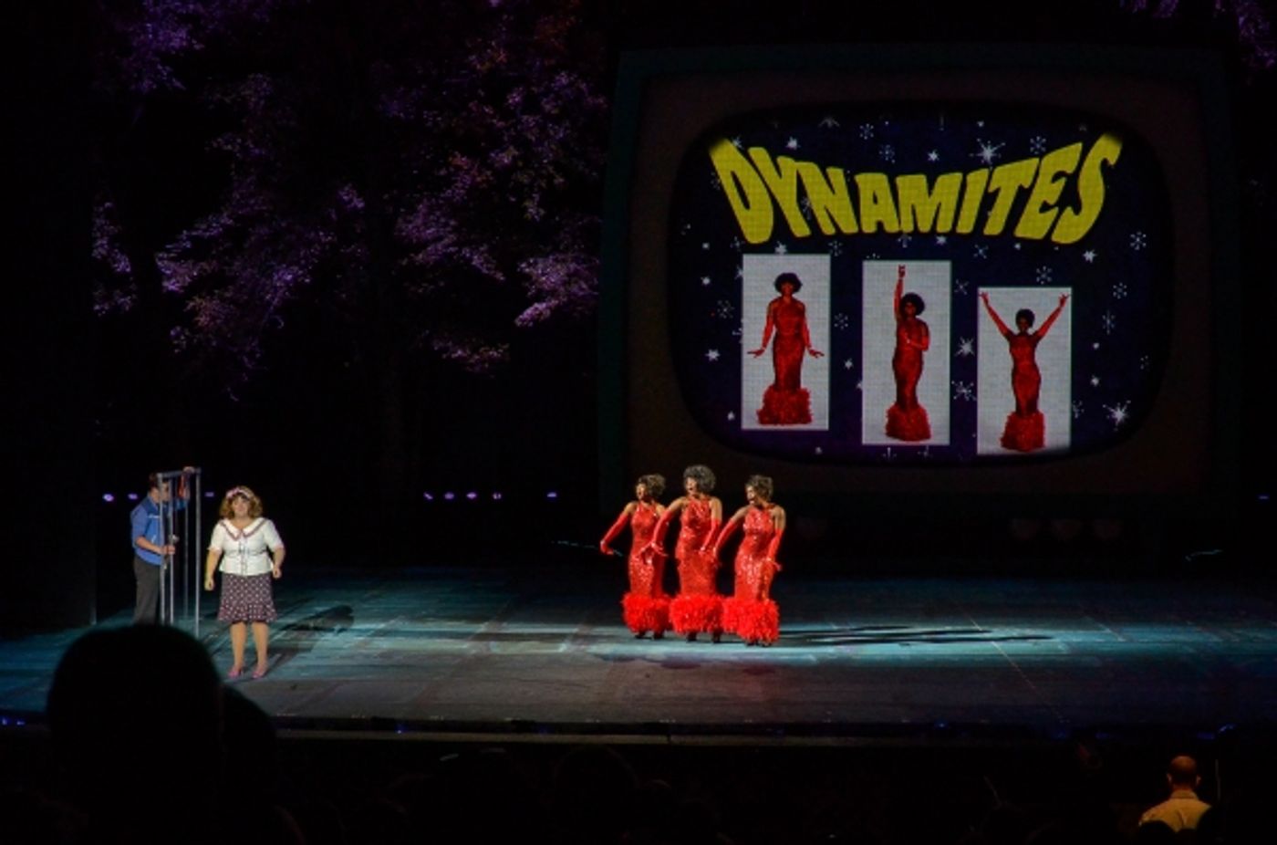 Photo Flash: First Look at Ryann Redmond, Bryan Batt & More in HAIRSPRAY at The Muny!  Image