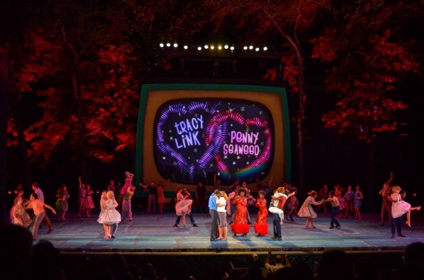 Photo Flash: First Look at Ryann Redmond, Bryan Batt & More in HAIRSPRAY at The Muny!  Image