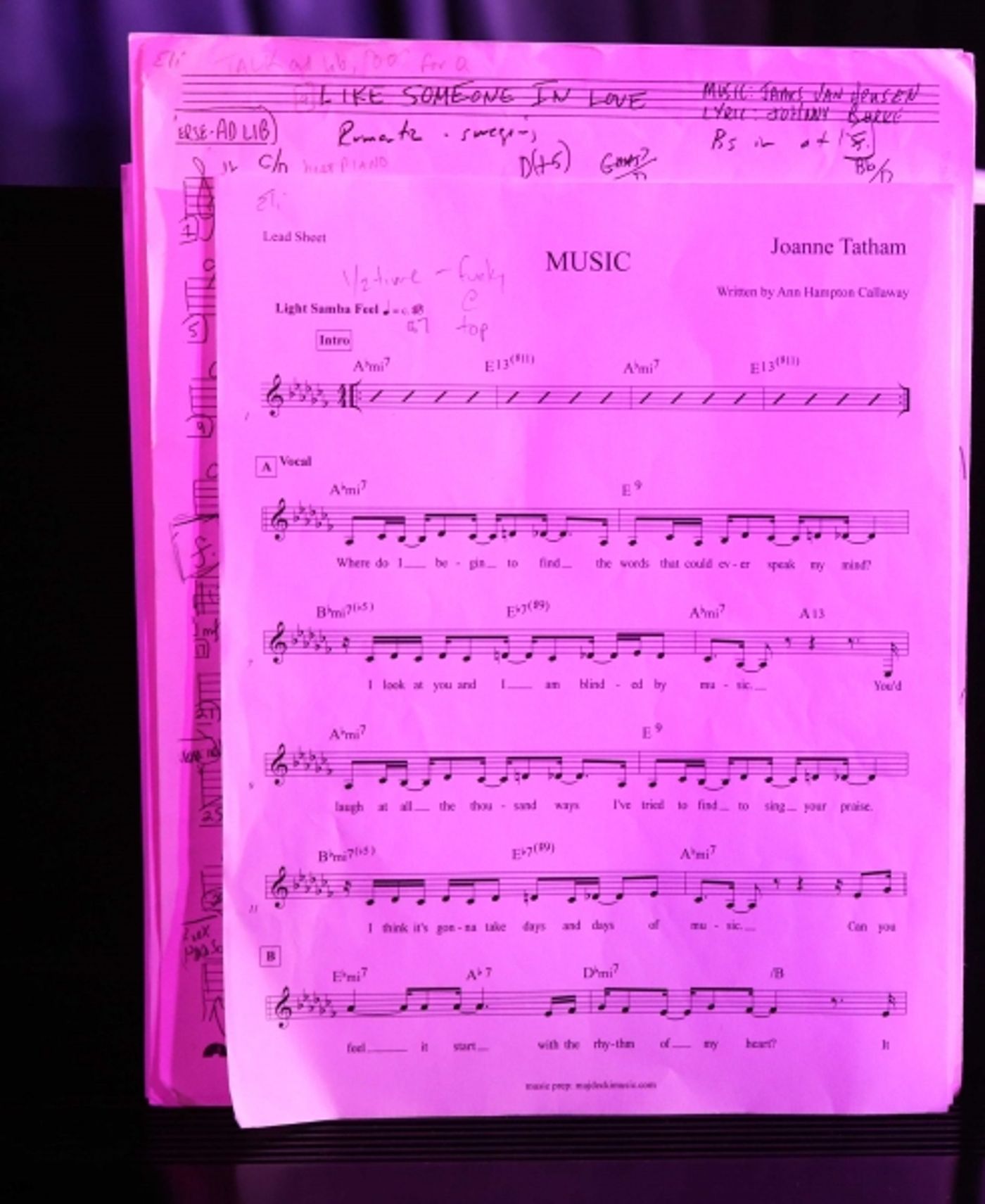 Photo Coverage: Joanne Tatham Plays Cafe Noctambulo at Pangea Photo Coverage: Joanne Tatham Plays Cafe Noctambulo at Pangea Image