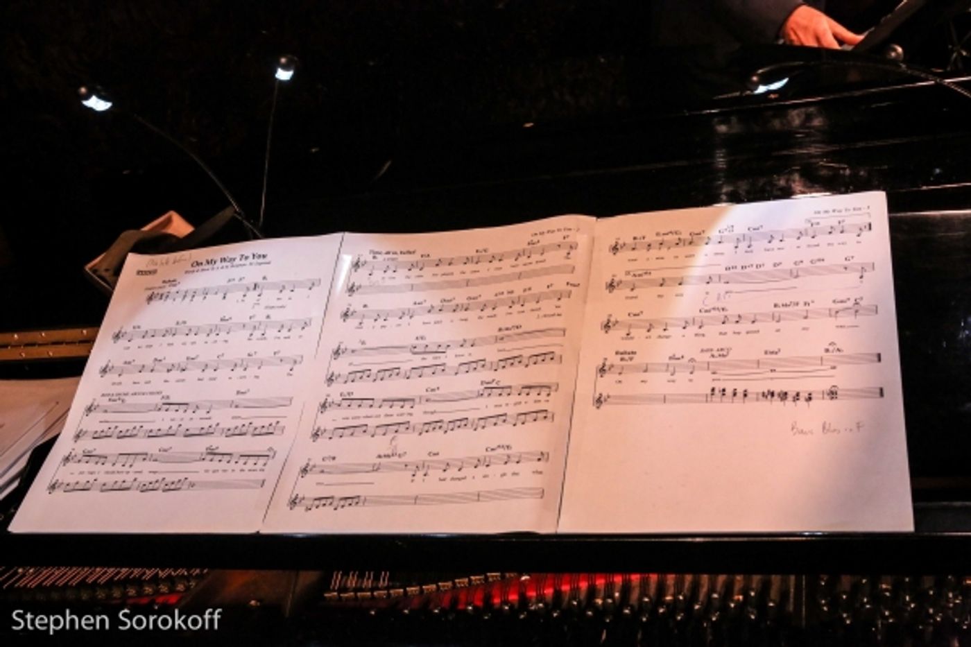 Photo Coverage: Ann Hampton Callaway Brings ON MY WAY TO YOU TO 54 Below Photo Coverage: Ann Hampton Callaway Brings ON MY WAY TO YOU TO 54 Below Image