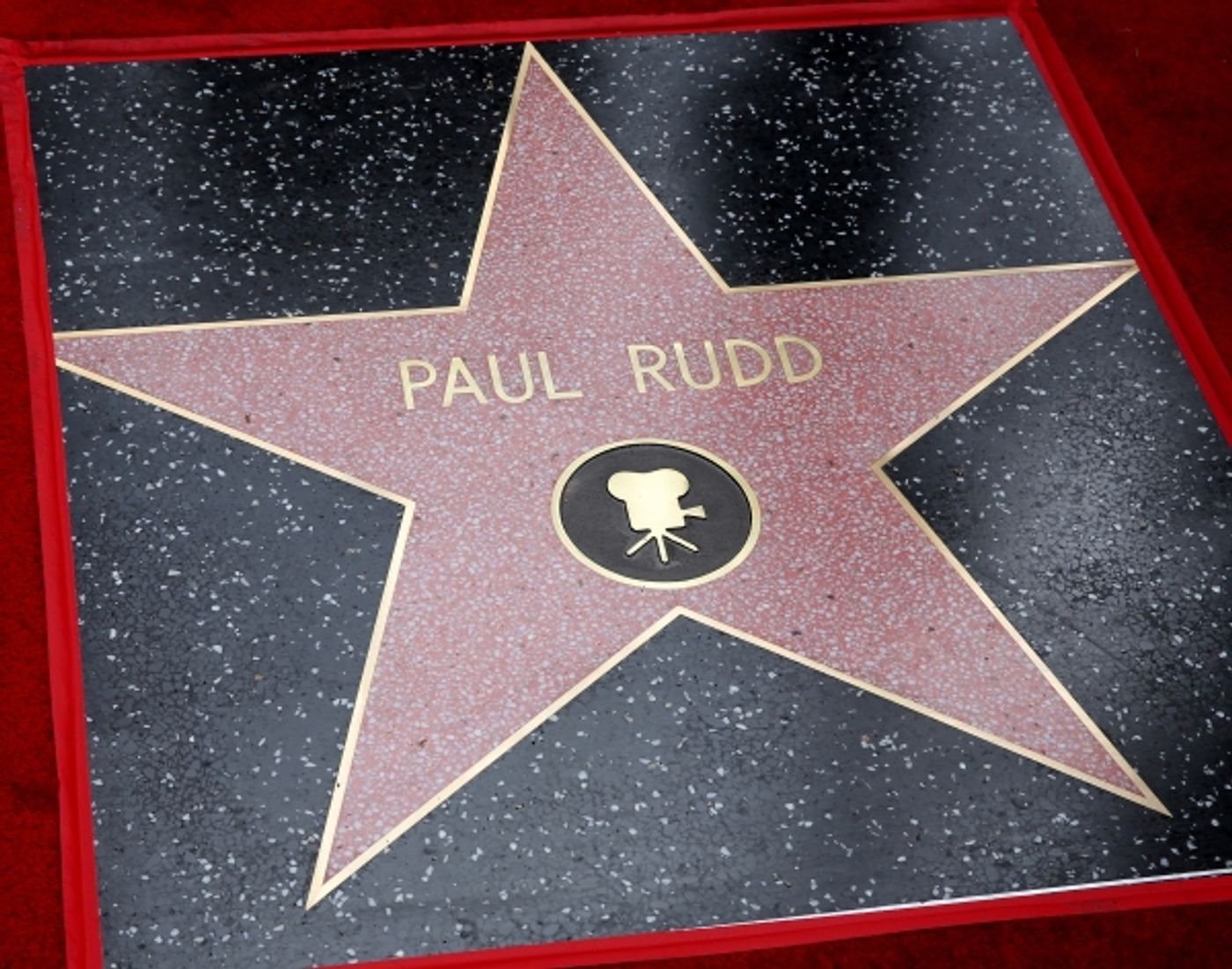 Photo Flash: ANT-MAN's Paul Rudd Receives Star on the Hollywood Walk of Fame  Image