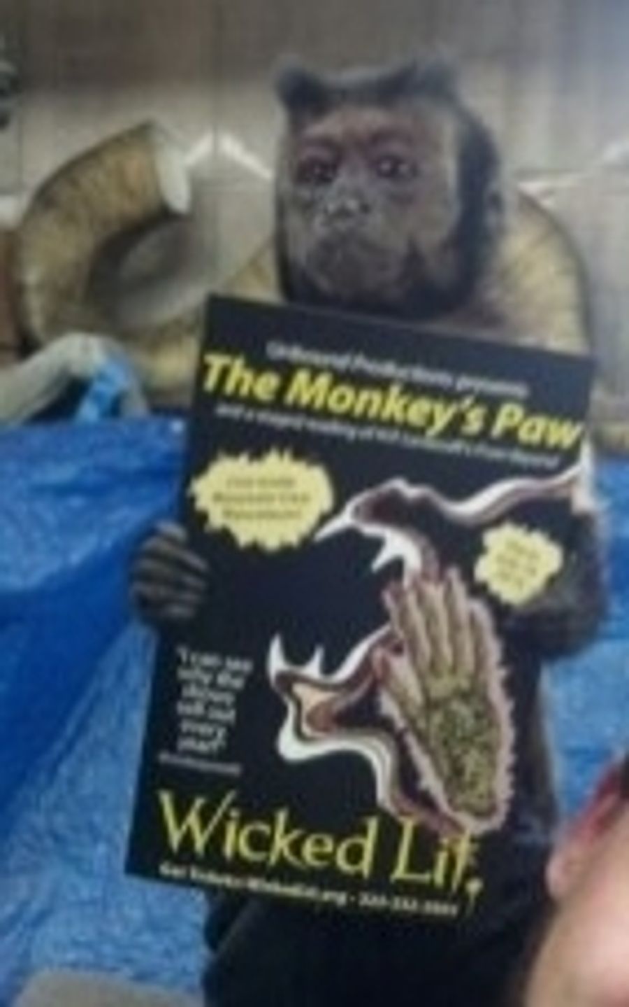 Photo Flash: Movie Star Monkey Supports Unbound's THE MONKEY'S PAW Image