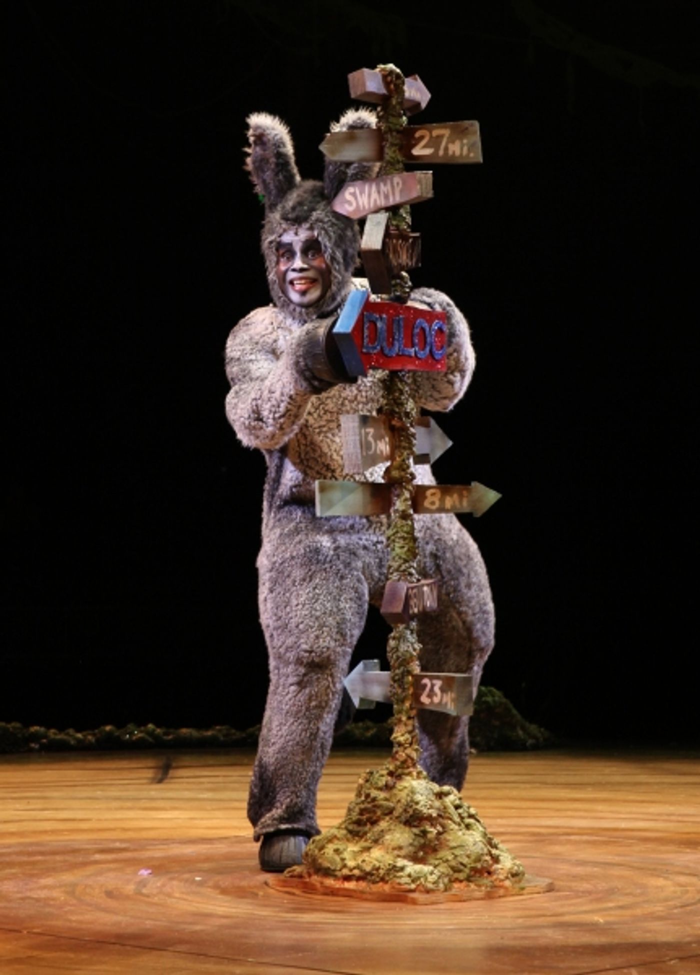 Photo Flash: First Look at Lukas Poost, Lauren Wiley and More in NSMT's SHREK THE MUSICAL  Image