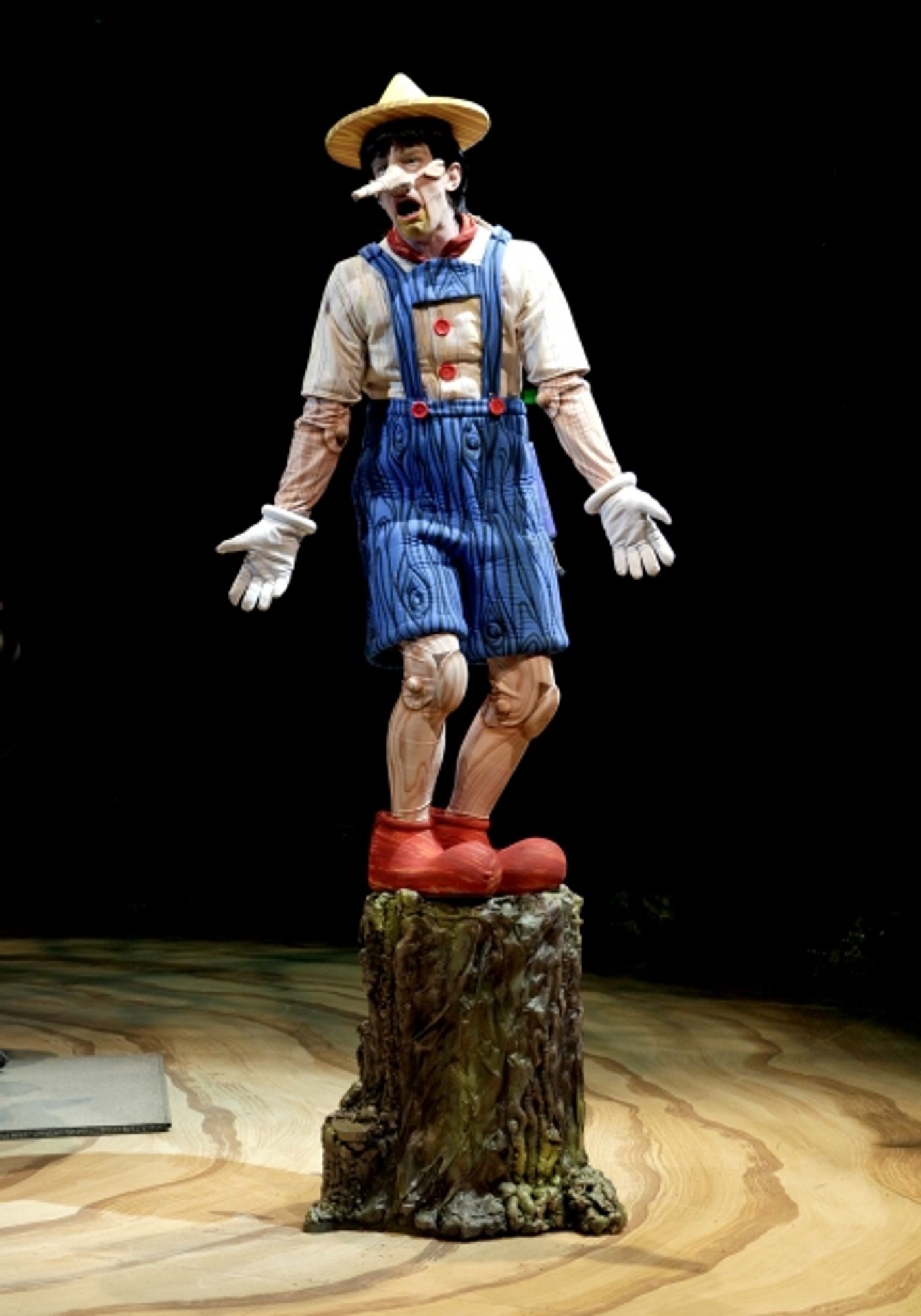 Photo Flash: First Look at Lukas Poost, Lauren Wiley and More in NSMT's SHREK THE MUSICAL  Image