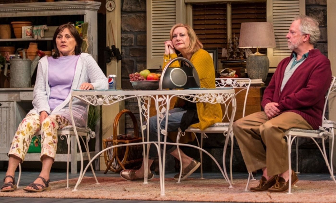 Photo Flash: First Look at Ross Lehman, Janet Ulrich Brooks, & More in Goodman Theatre's VANYA AND SONIA AND MASHA AND SPIKE  Image