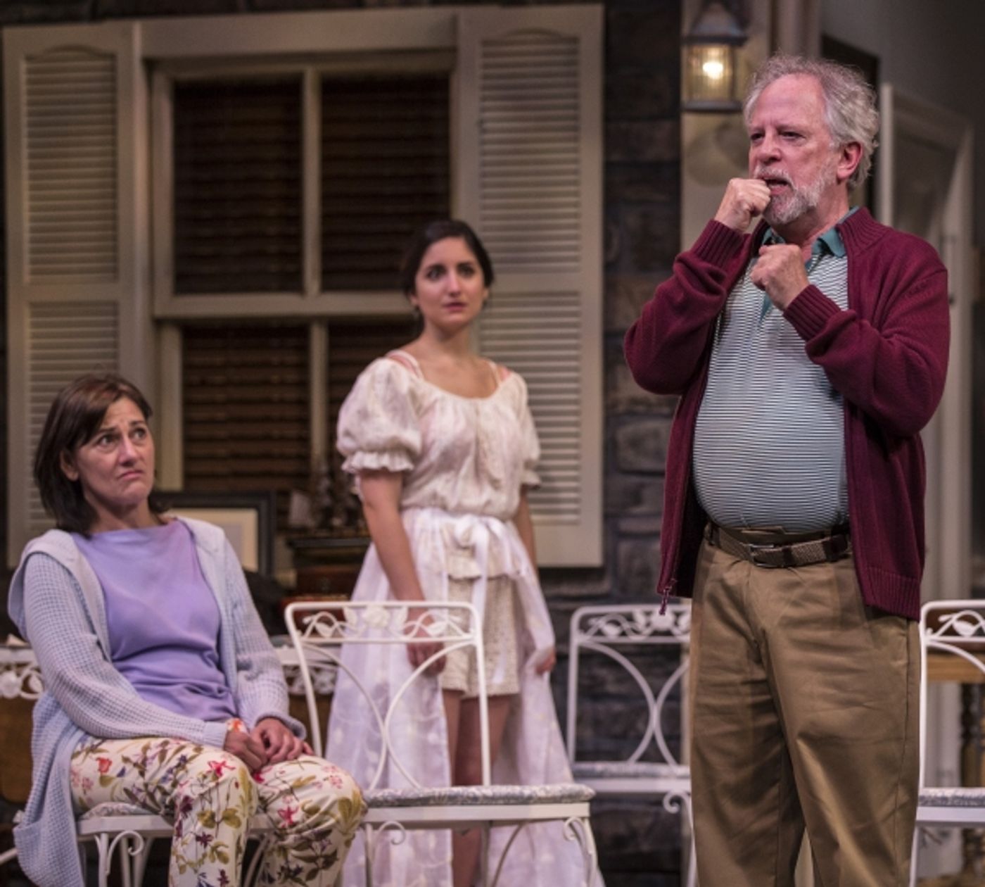 Photo Flash: First Look at Ross Lehman, Janet Ulrich Brooks, & More in Goodman Theatre's VANYA AND SONIA AND MASHA AND SPIKE  Image