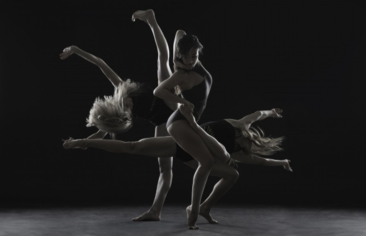 Photo Flash: Sneak Peek at WHITE WAVE Dance's 2015 DUMBO Dance Festival Lineup  Image