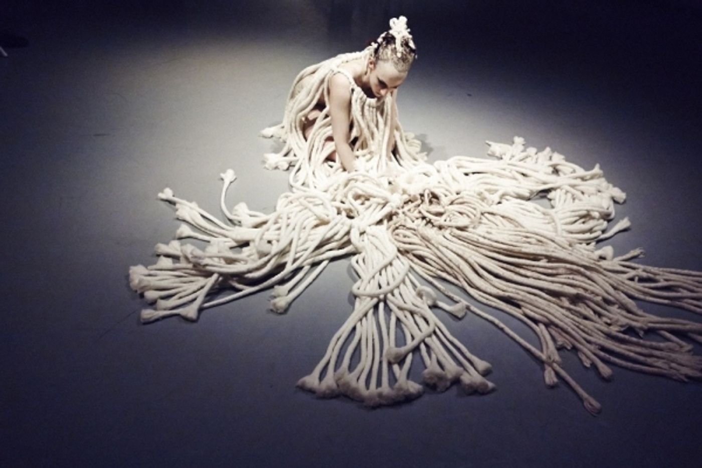 Photo Flash: Sneak Peek at WHITE WAVE Dance's 2015 DUMBO Dance Festival Lineup  Image