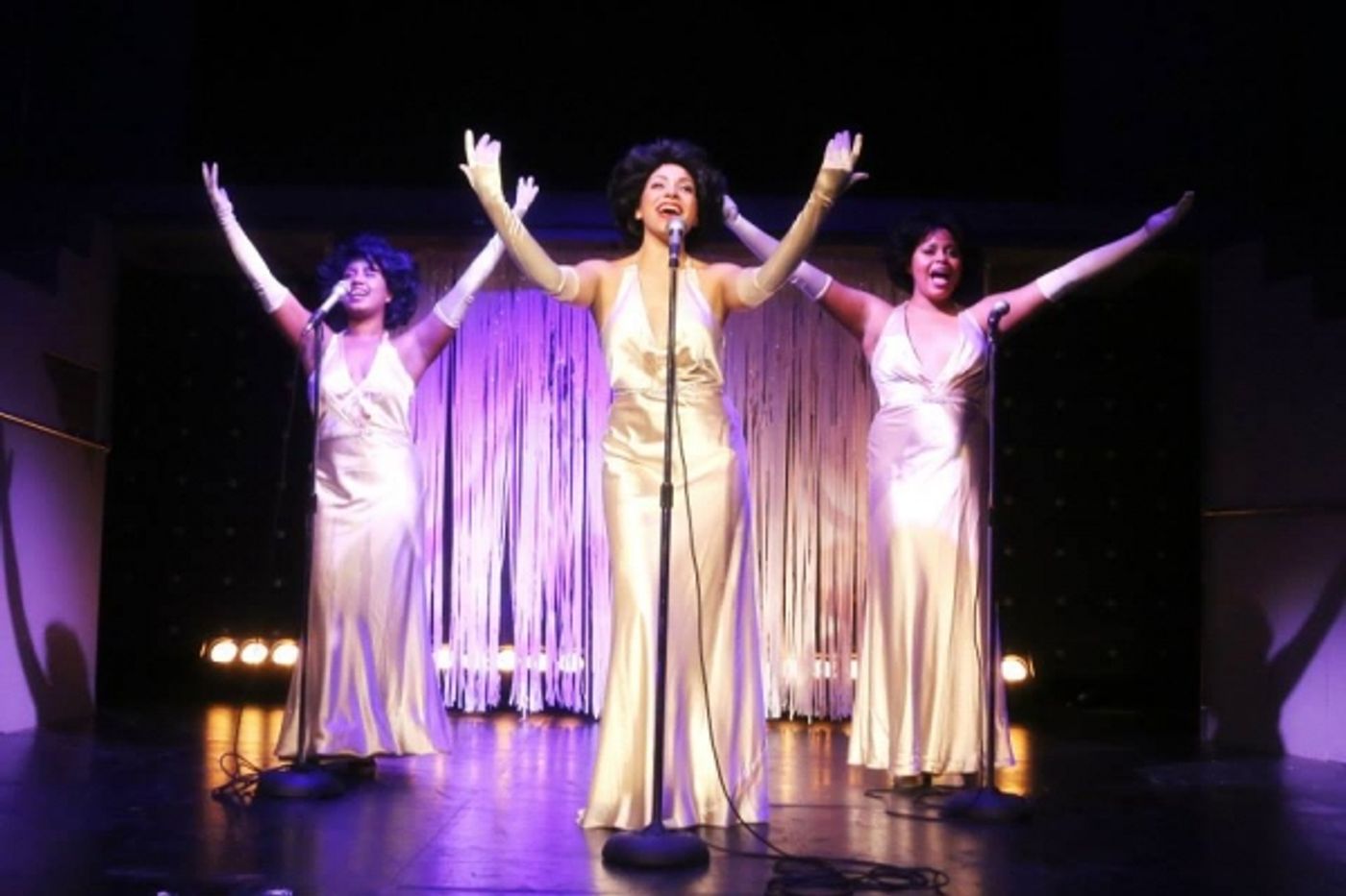 Photo Flash: First Look at Brittany Walters, Alexis Sims, Dorian McCorey, & More in Theatre Raleigh's DREAMGIRLS Directed by Lauren Kennedy  Image
