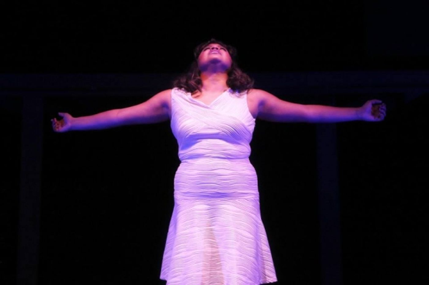 Photo Flash: First Look at Brittany Walters, Alexis Sims, Dorian McCorey, & More in Theatre Raleigh's DREAMGIRLS Directed by Lauren Kennedy  Image
