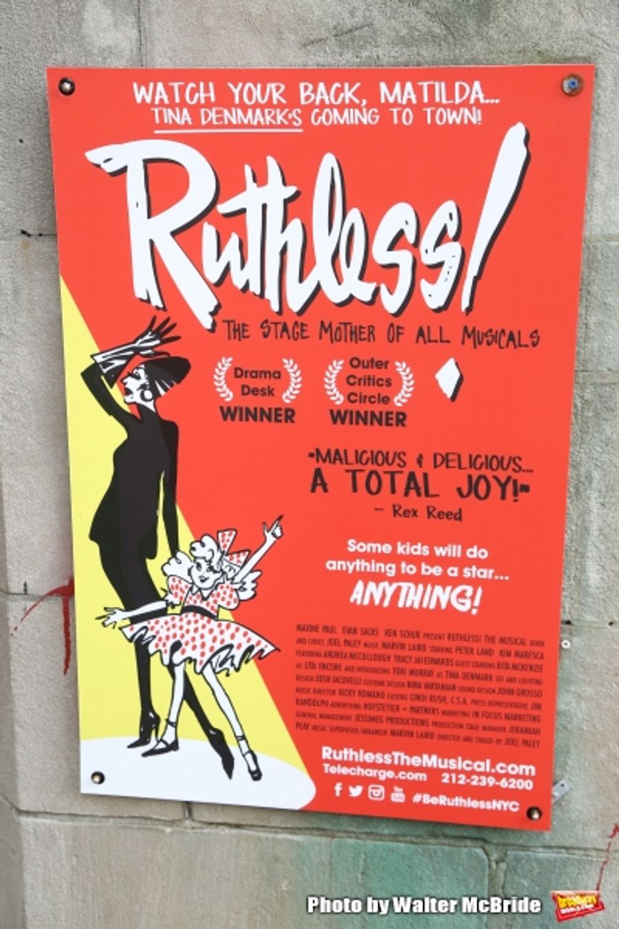 Photo Coverage: On the Red Carpet for Opening Night of RUTHLESS! Image