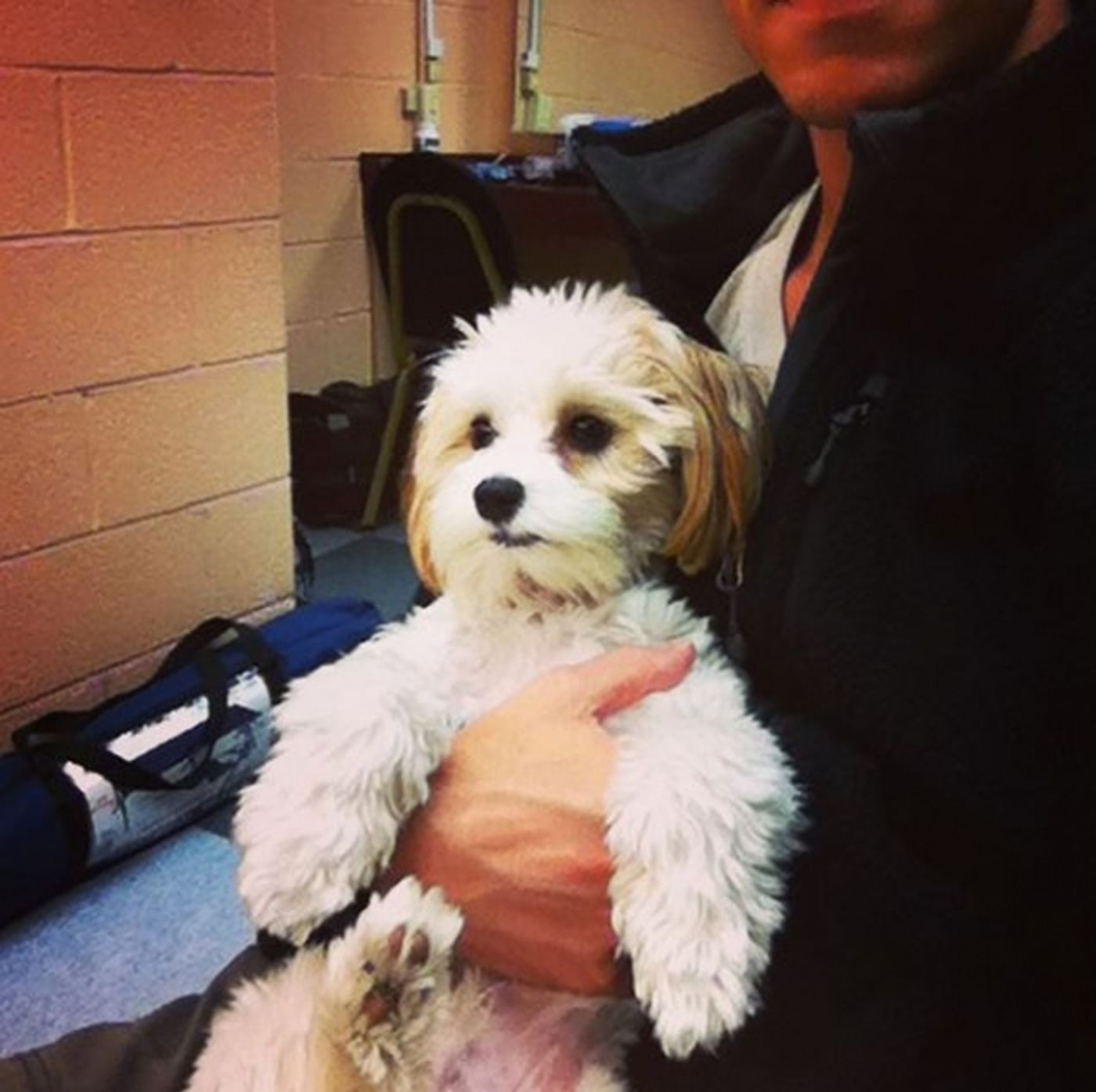 Photo Flash: Saturday Intermission Pics, 7/18 - THE WILD PARTY Takes First #SIP, Plus THE KING AND I, FUN HOME, and More!  Image