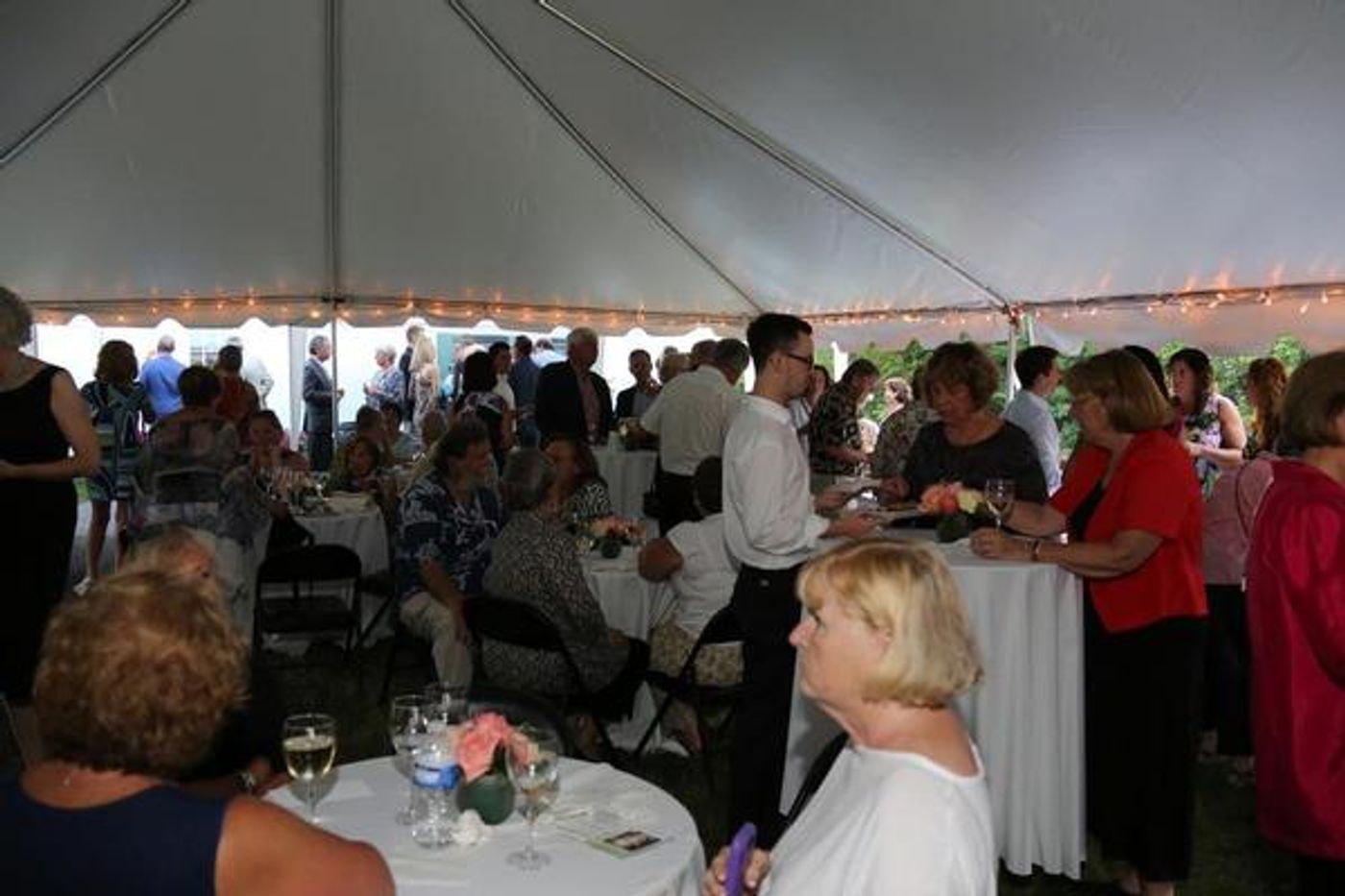 Photo Flash: Cape Rep Theatre Hosts 2015 Summer Starlight Benefit Photo Flash: Cape Rep Theatre Hosts 2015 Summer Starlight Benefit Image