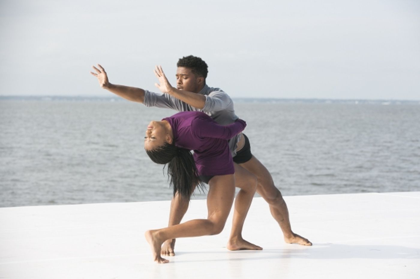 Photo Flash: 2015 Fire Island Dance Festival Breaks Records with Nearly $545K Raised  Image