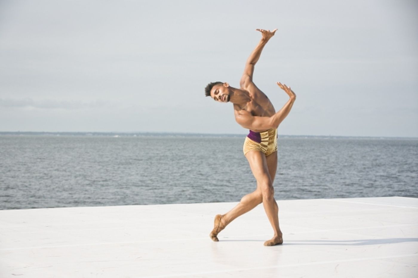 Photo Flash: 2015 Fire Island Dance Festival Breaks Records with Nearly $545K Raised  Image