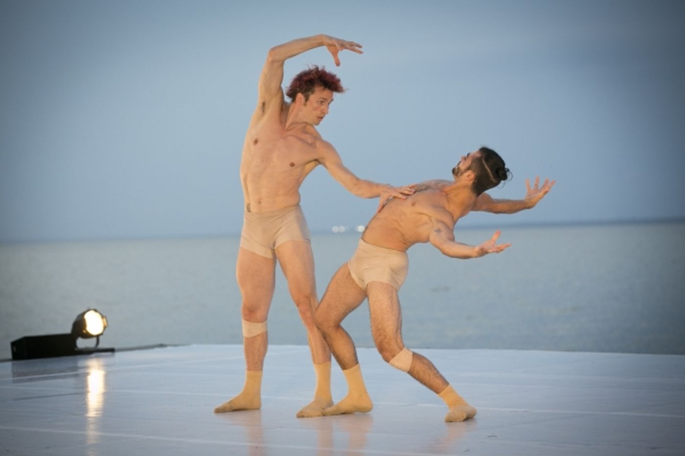Photo Flash: 2015 Fire Island Dance Festival Breaks Records with Nearly $545K Raised  Image