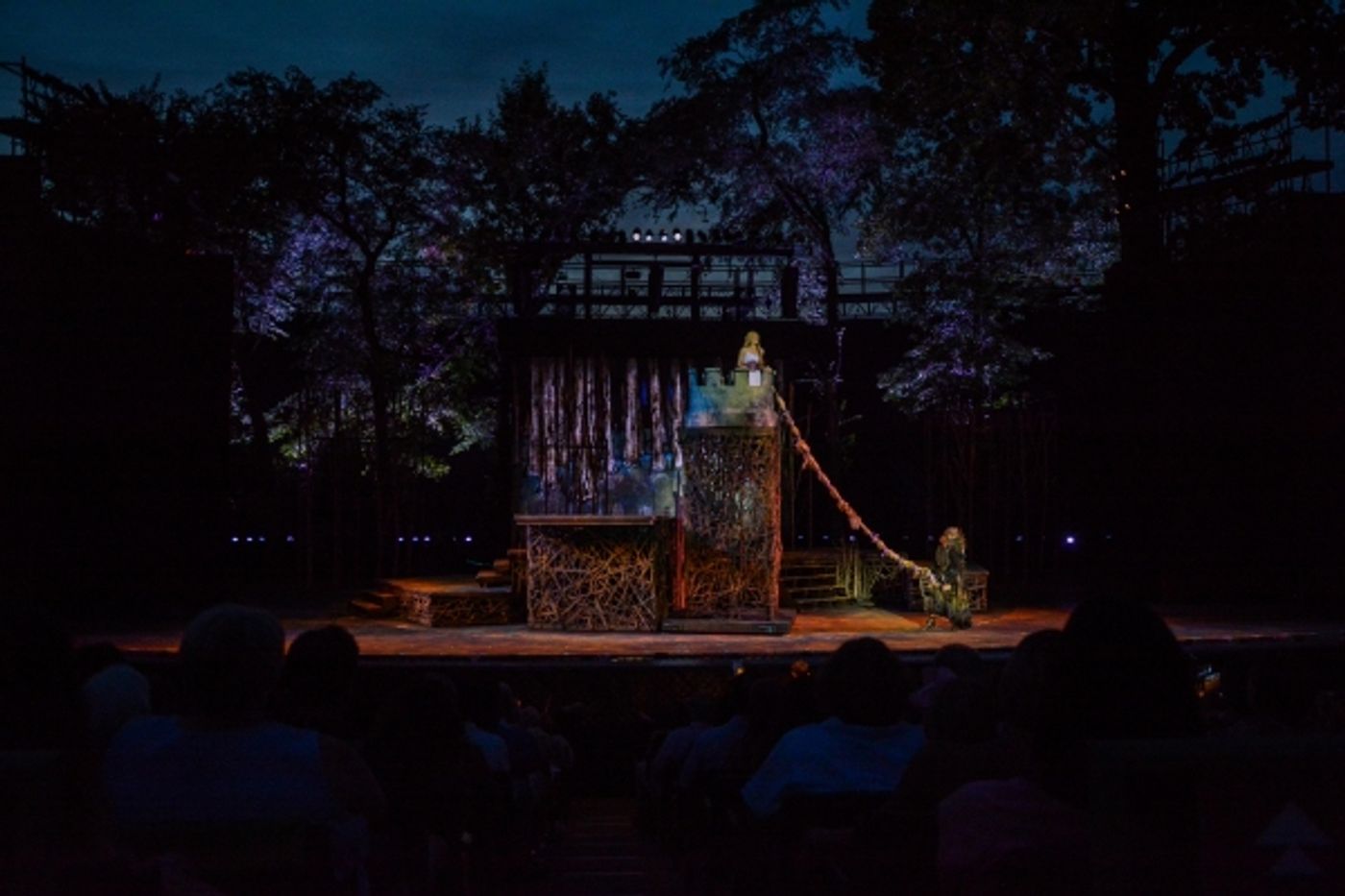 Photo Flash: First Look at Heather Headley, Erin Dilly, Rob McClure and More in INTO THE WOODS at The Muny  Image