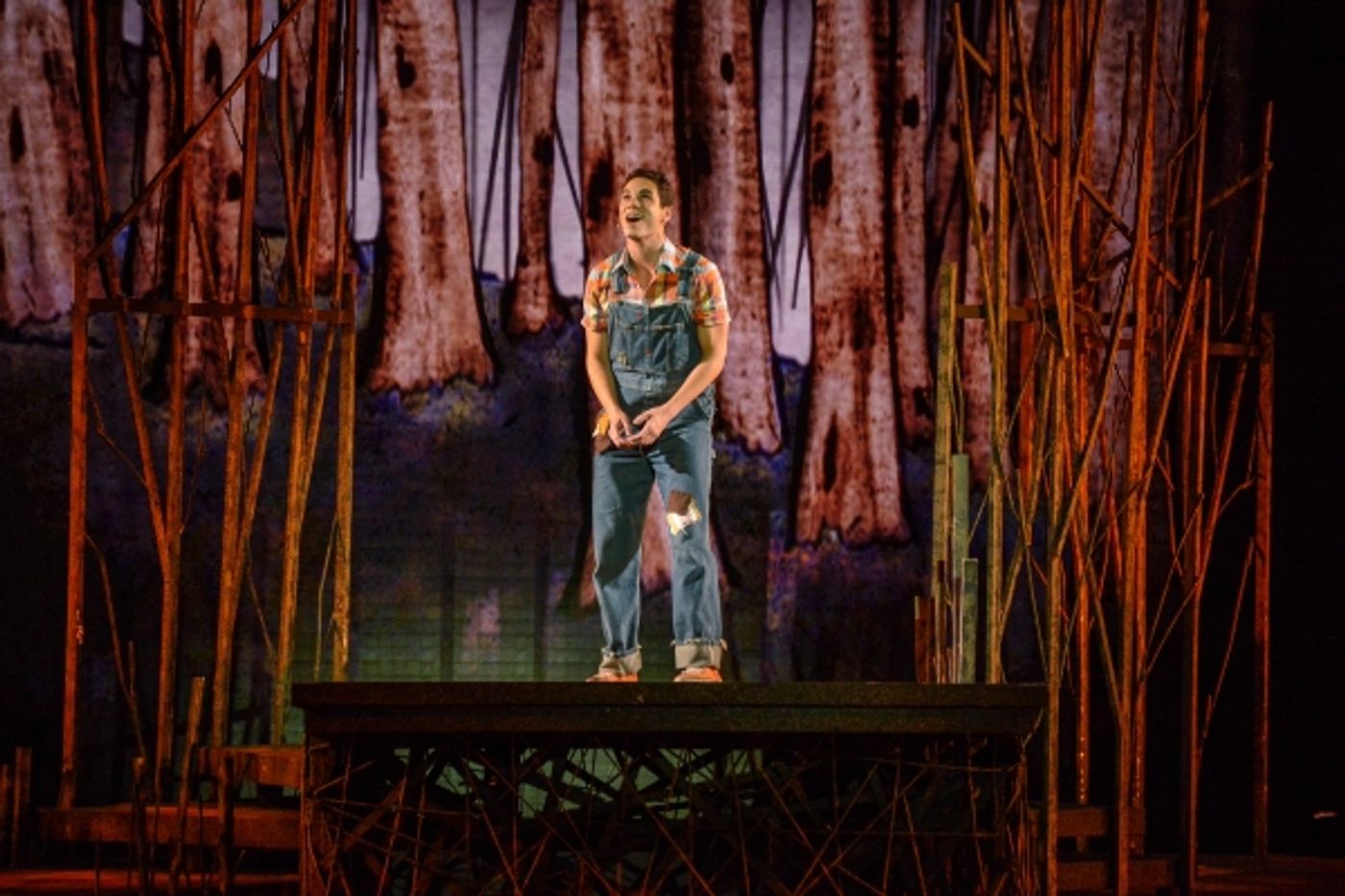 Photo Flash: First Look at Heather Headley, Erin Dilly, Rob McClure and More in INTO THE WOODS at The Muny  Image