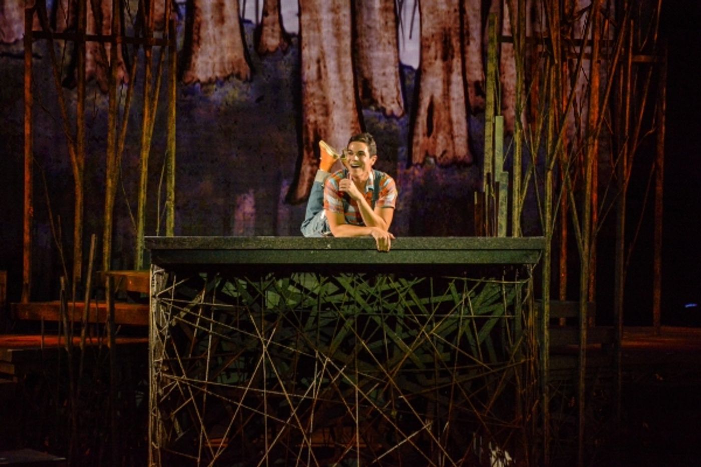 Photo Flash: First Look at Heather Headley, Erin Dilly, Rob McClure and More in INTO THE WOODS at The Muny  Image